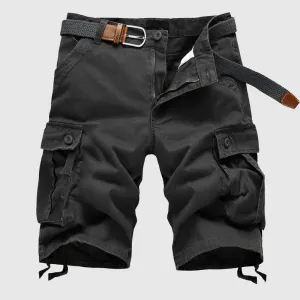 Dan Anthony Serene Sands Shorts