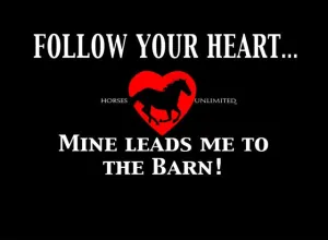 "Follow Your Heart" Horses Unlimited T-Shirt